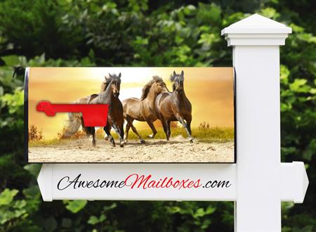 mailbox-beautiful-horses