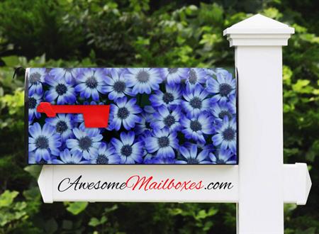 mailbox-flowers-aster
