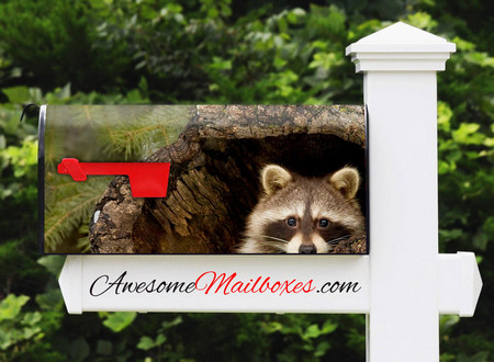 Buy Mailbox Animalart Raccoon Mailbox