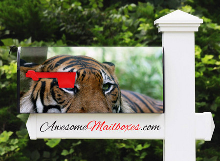 Buy Mailbox Animals Angry Tiger Mailbox