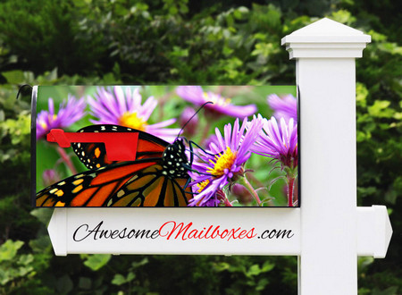 Buy Mailbox Animals Butterfly Mailbox