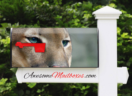 Buy Mailbox Animals Cougar Mailbox