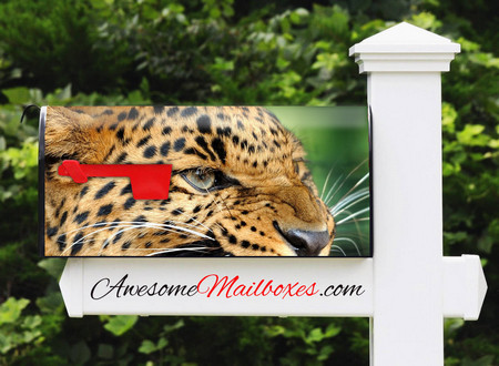 Buy Mailbox Animals Fangs Mailbox
