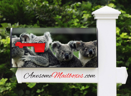 Buy Mailbox Animals Koalas Mailbox
