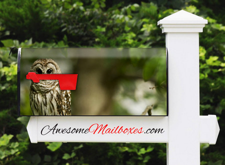 Buy Mailbox Animals Owl Mailbox
