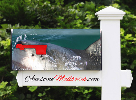 Buy Mailbox Animals Shark Mailbox