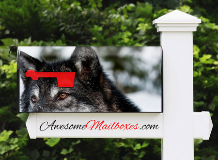 Buy Mailbox Animals Snowwolf Mailbox