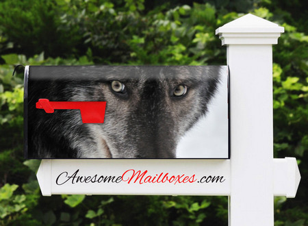 Buy Mailbox Animals Wolf Mailbox