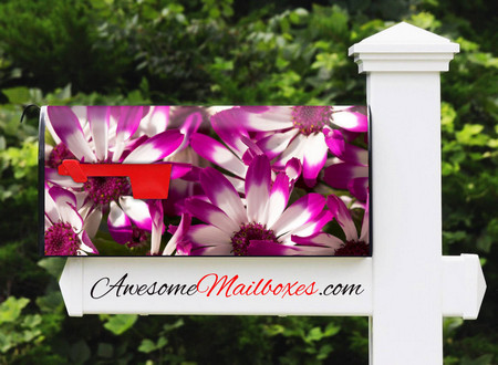 Buy Mailbox Flowers Bold Mailbox