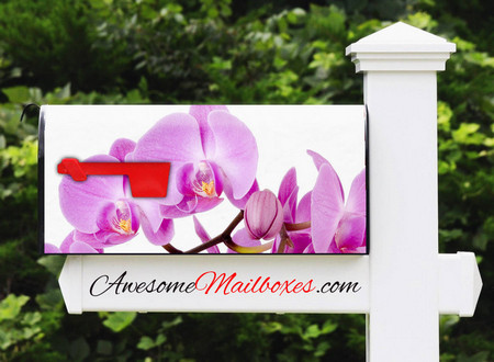 Buy Mailbox Flowers Orchid Mailbox