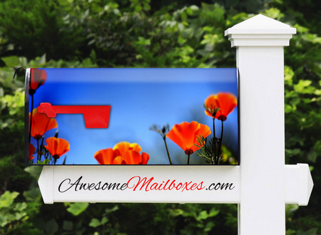 Buy Mailbox Flowers Poppy Mailbox