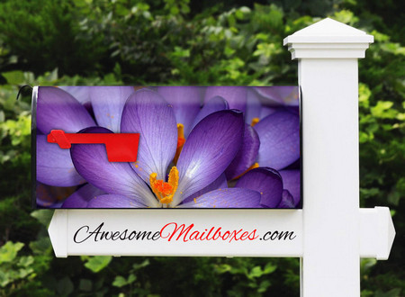 Buy Mailbox Flowers Special Mailbox