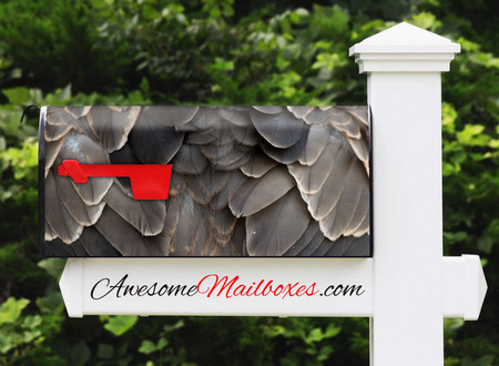 Buy Mailbox Texture Feathers Mailbox