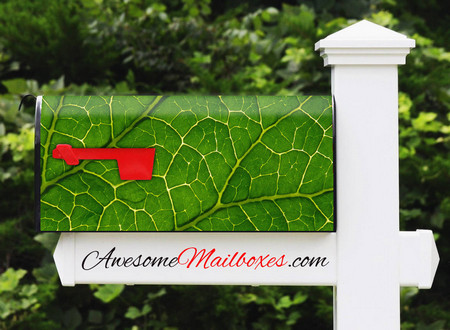 Buy Mailbox Texture Veins Mailbox